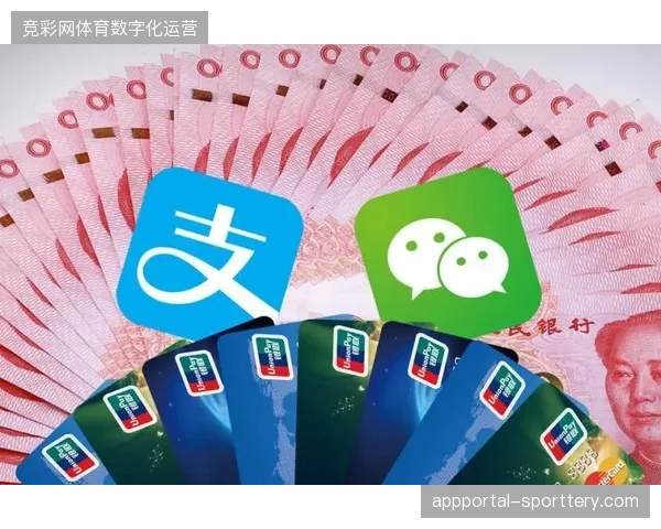 大型赛事安保投入对赞助方权益履约空间的长期挤兑效应